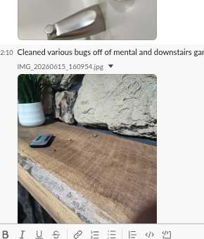 Slack post: mantel surface, captioned about cleaning bugs off the mantel and game room